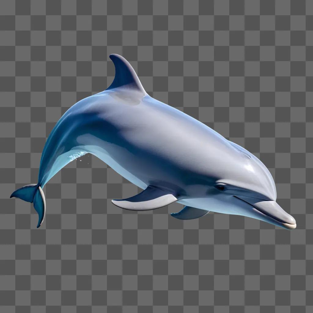 dolphin is swimming in the water