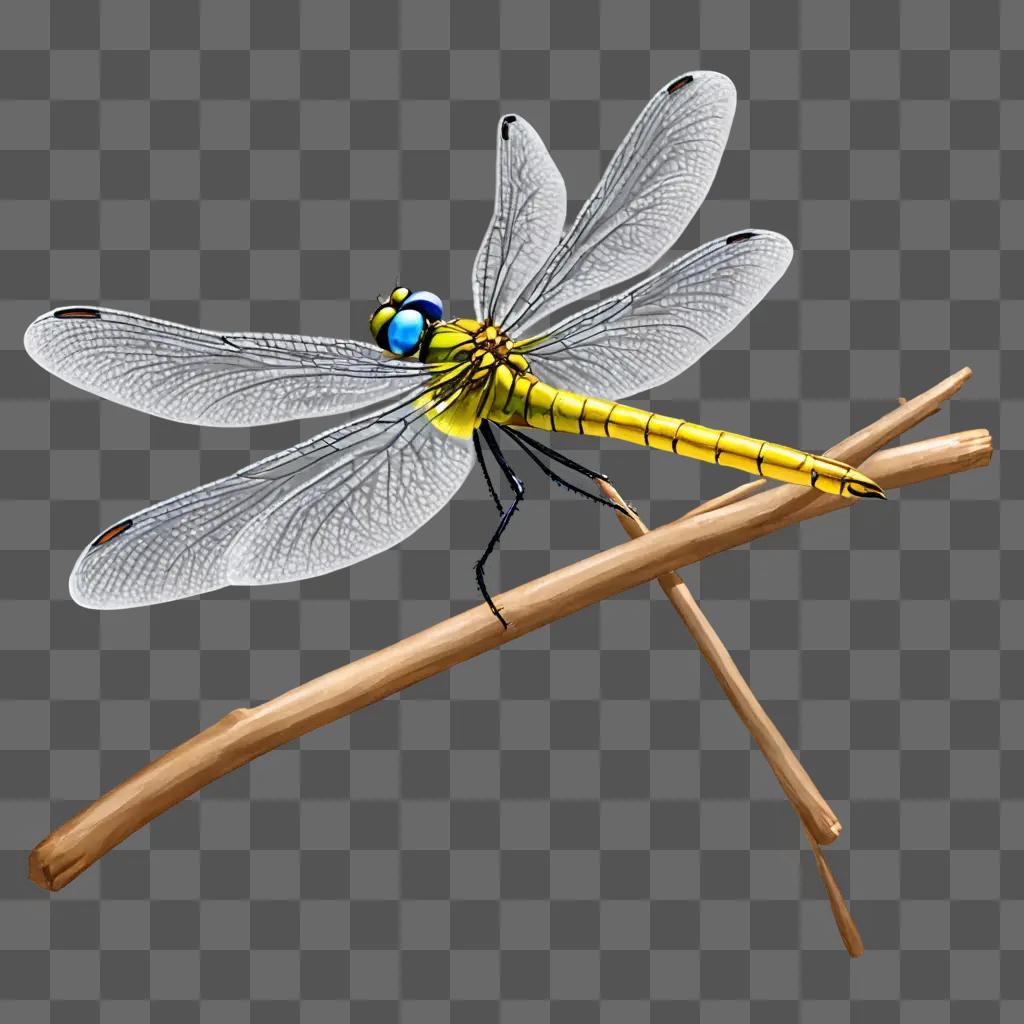 dragonfly drawing for kids A yellow dragonfly sits on a stick