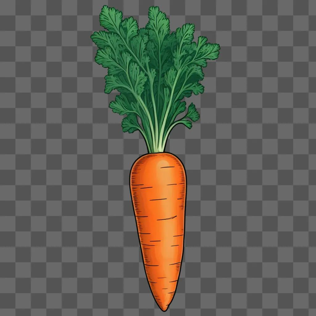 drawing of a carrot with green leaves and a stem