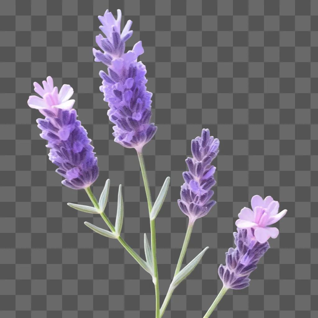 drawing of a lavender flower on a purple background