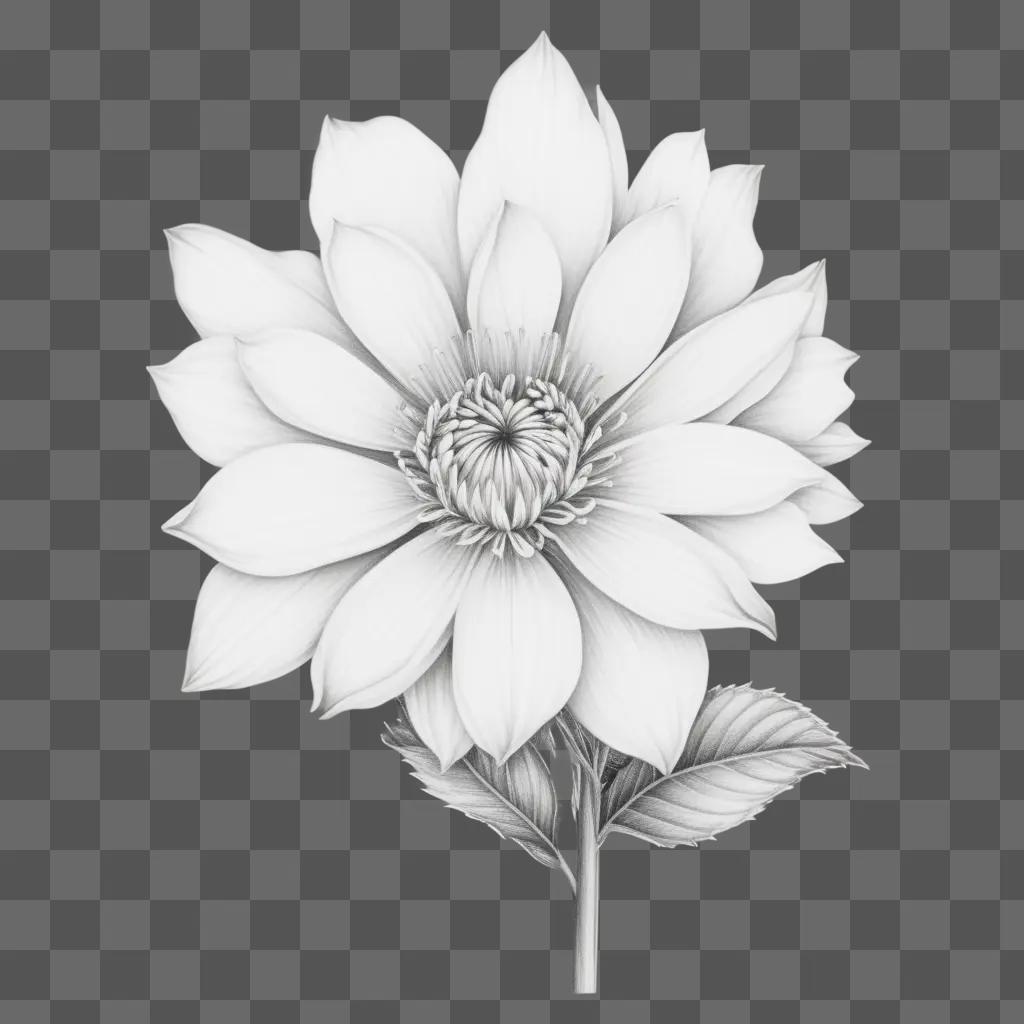 drawing of a pencil flower in black and white