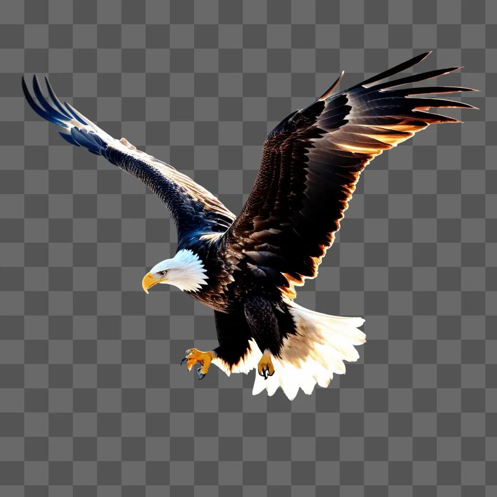 鷲が翼を広げて光るイメージ