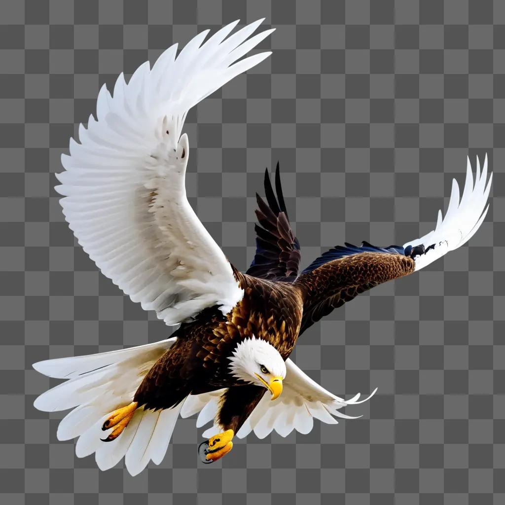 eagle spreads its wings in a transparent background