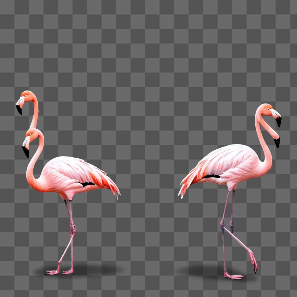 flamingos drawing realistic Two flamingos standing side by side on a pink background