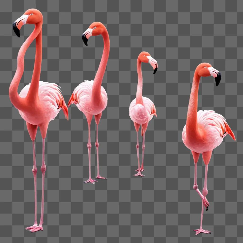 flamingos emoji A group of pink flamingos standing on a pink background