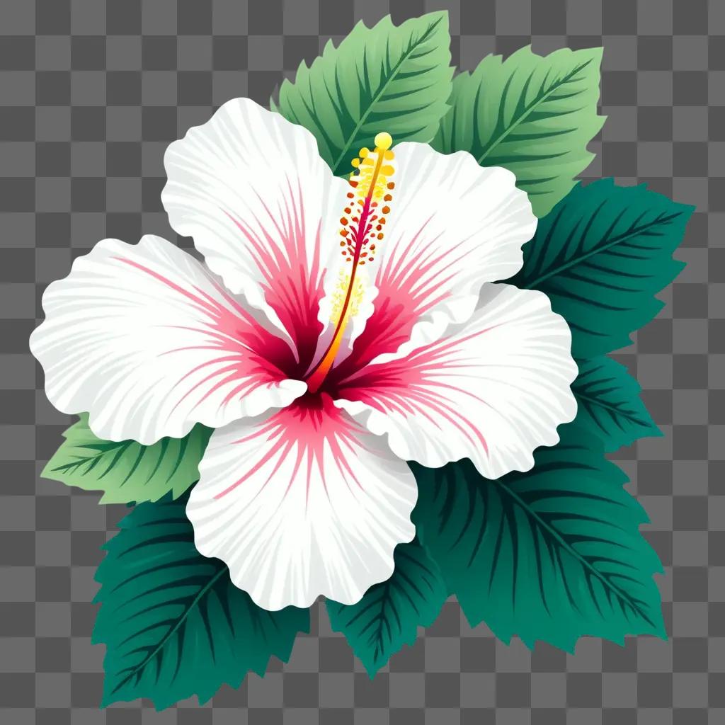 floral clipart design of a white hibiscus with green leaves