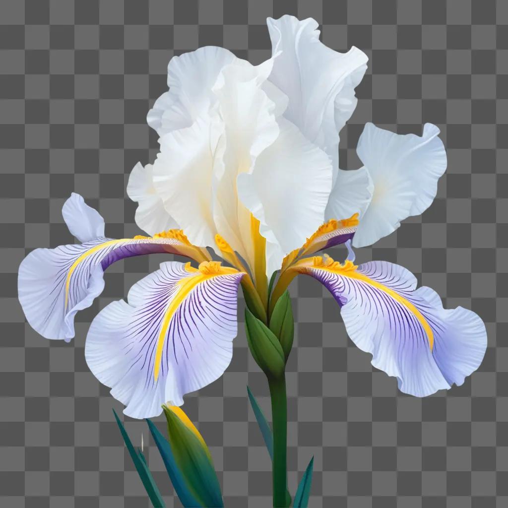 floral painting of a Iris flower with yellow and white petals