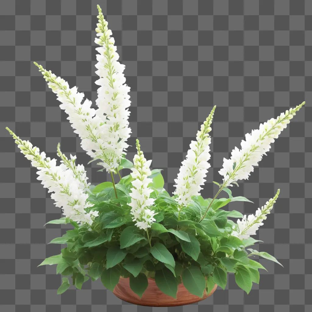 flower bush in a pot with white flowers