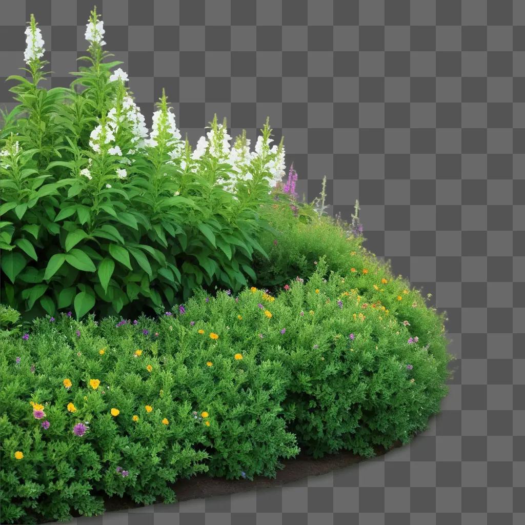 flower bush with a green background