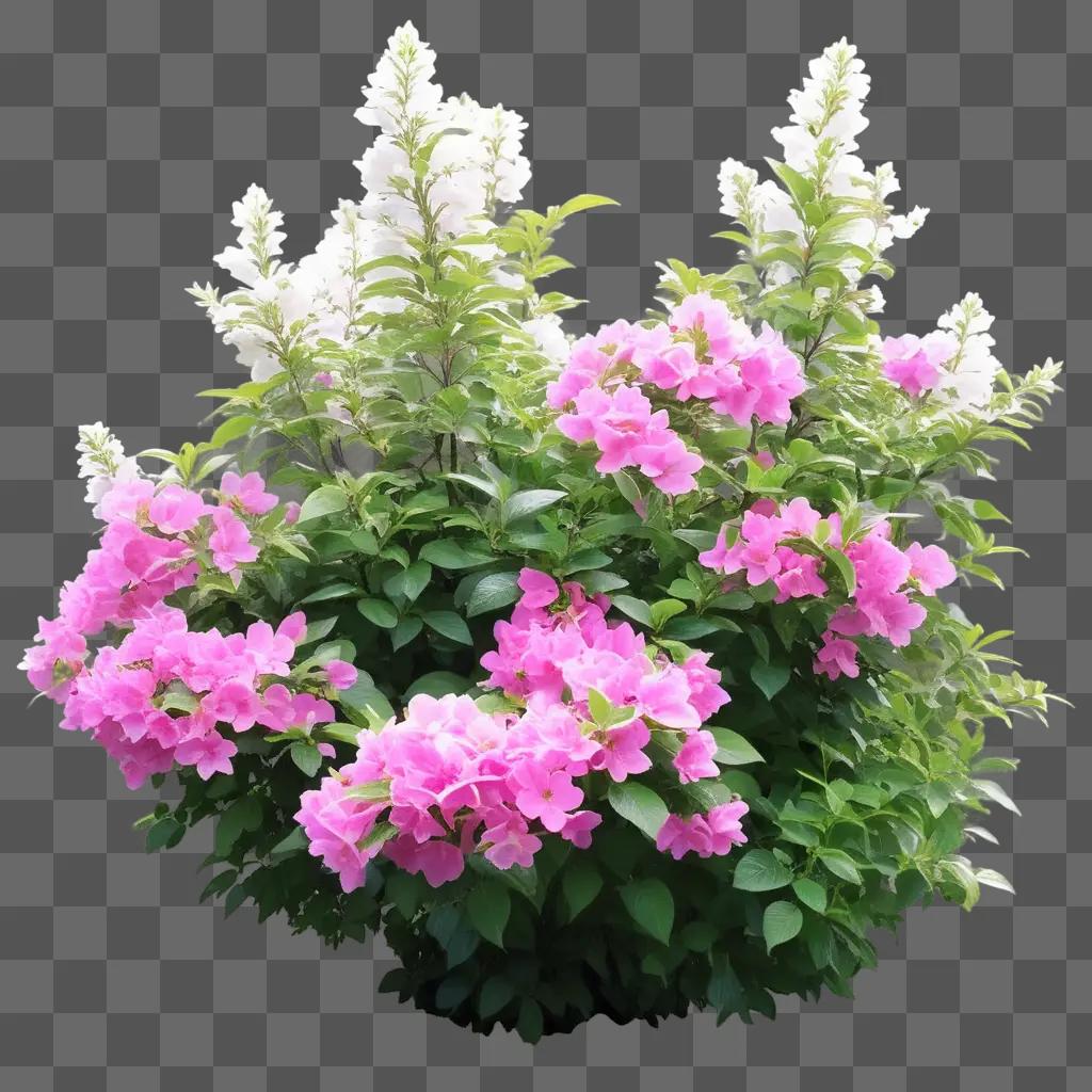 flower bush with pink flowers in a green background