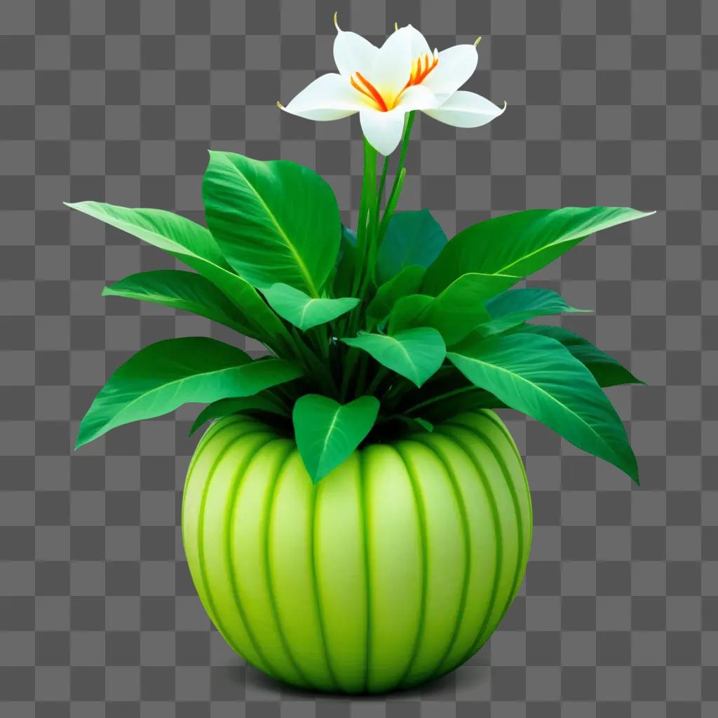 flower with green leaves in a green pot