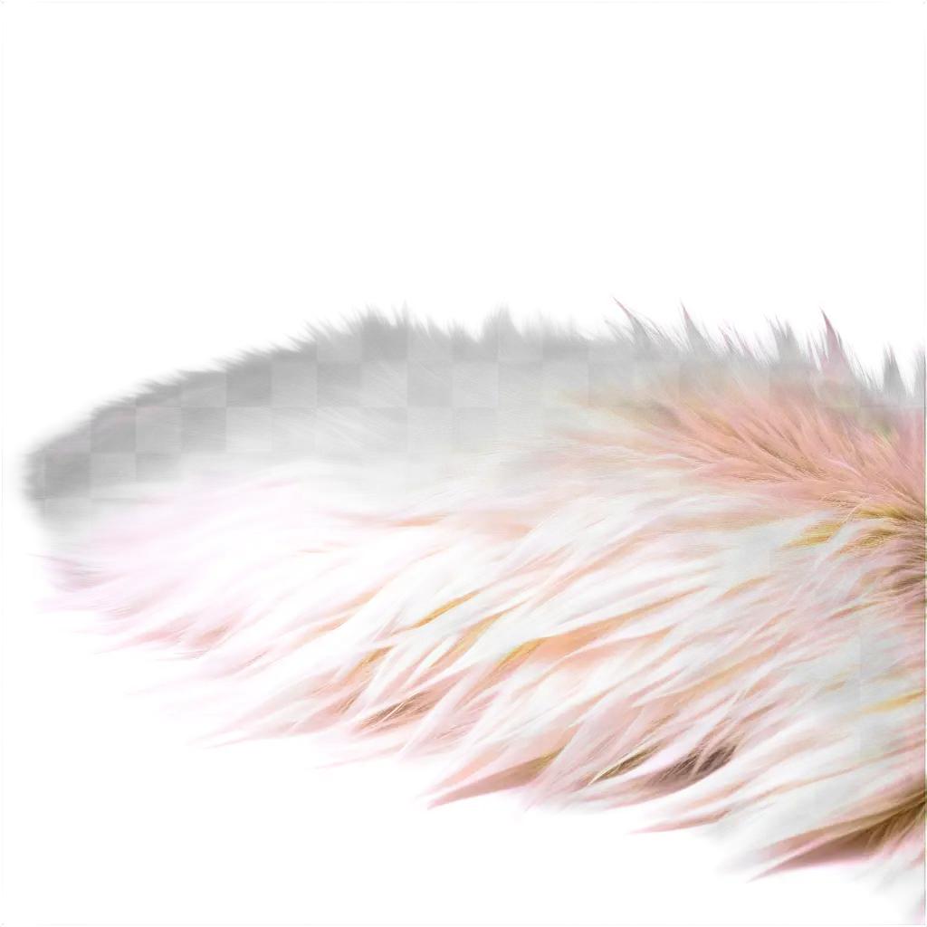 fluffy fur texture with a light and dark tone