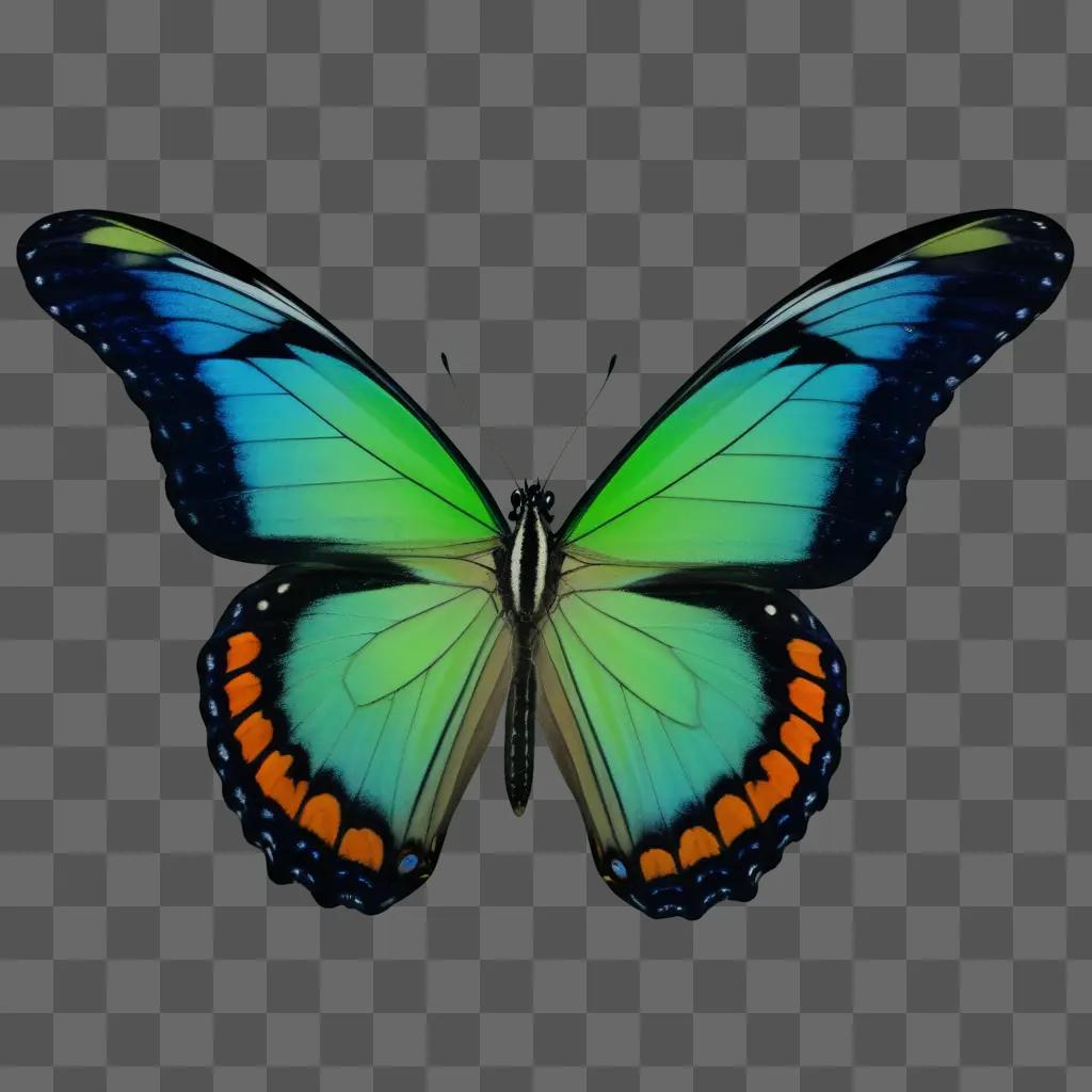 free butterfly flutters on a dark background