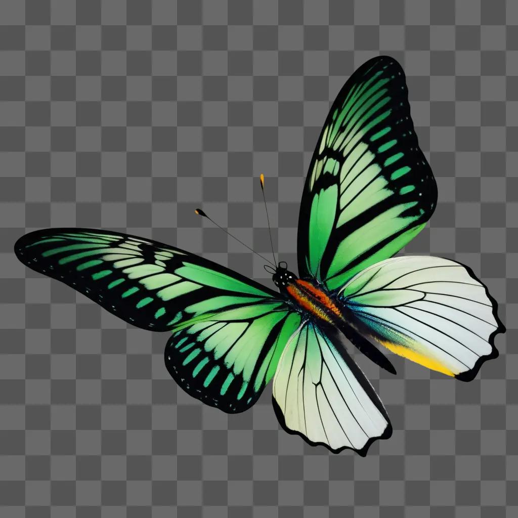 free butterfly in a green background