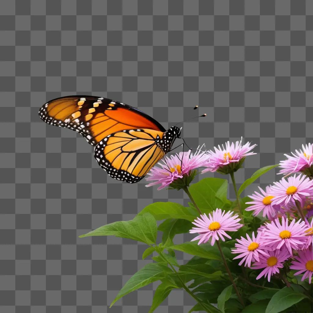 free-flying butterfly sits on a pink flower