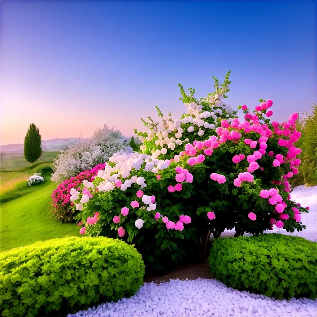 garden of flowers and bushes with a clear sky in the background