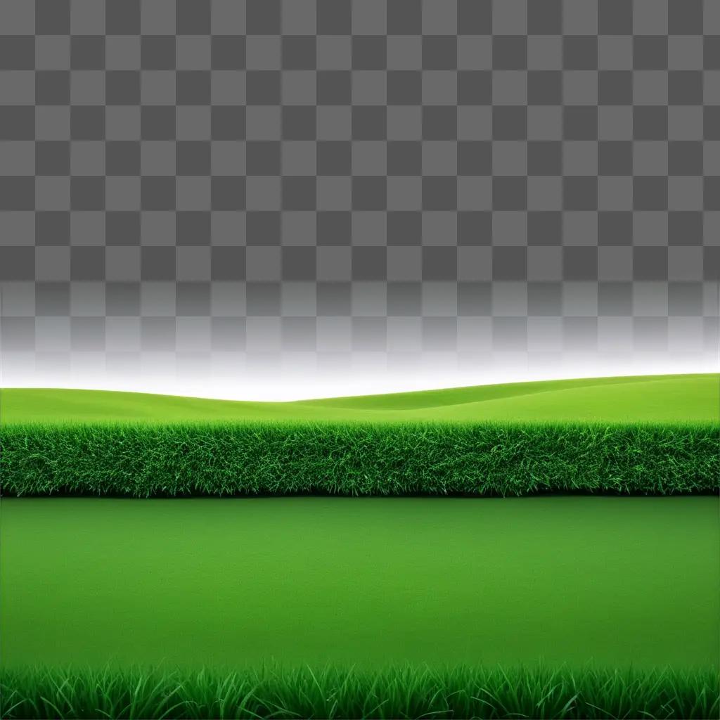 grass border outlines a field and hill