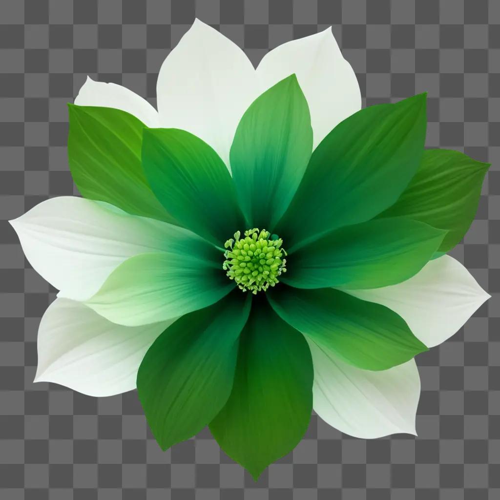 green flower sits in a white background