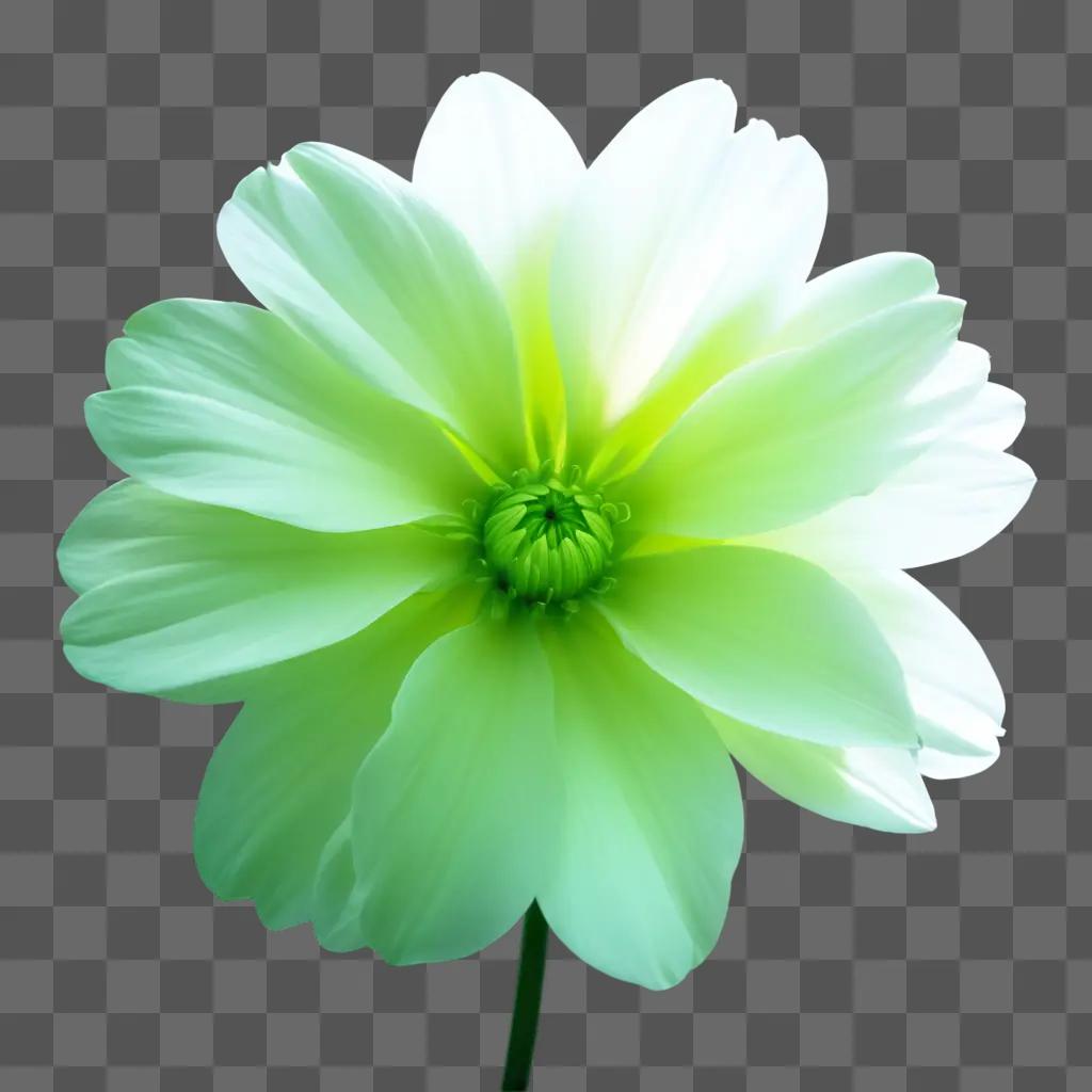 green flower with a green stem