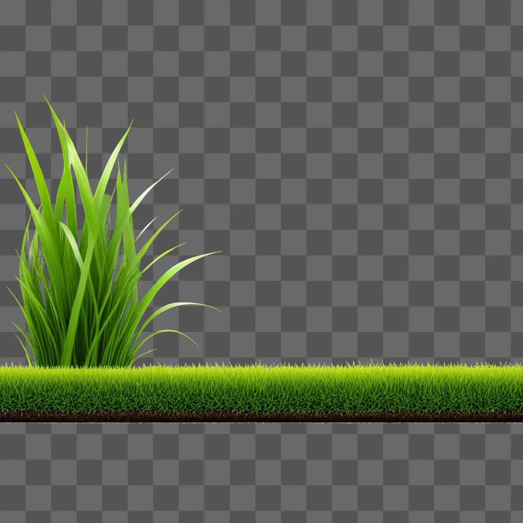 green grass border with a glow