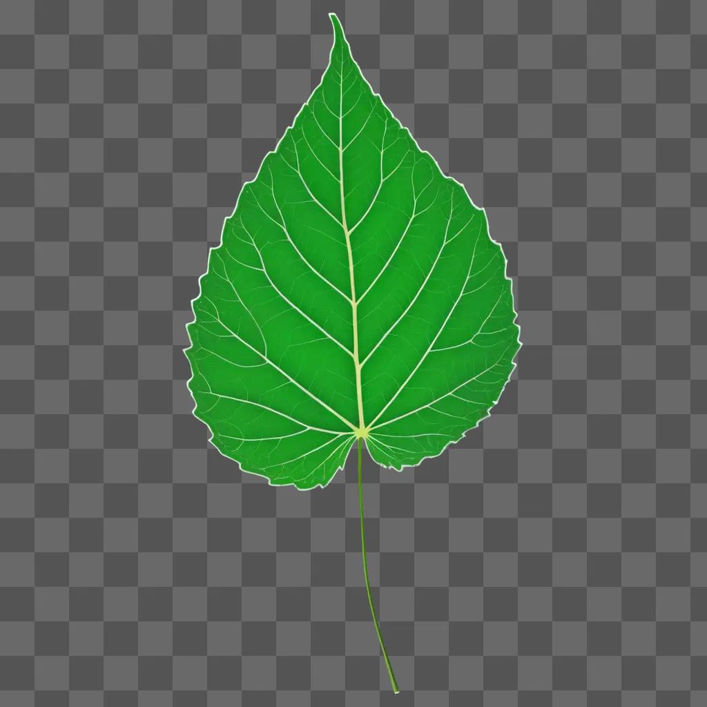 green leaf drawing on a green background