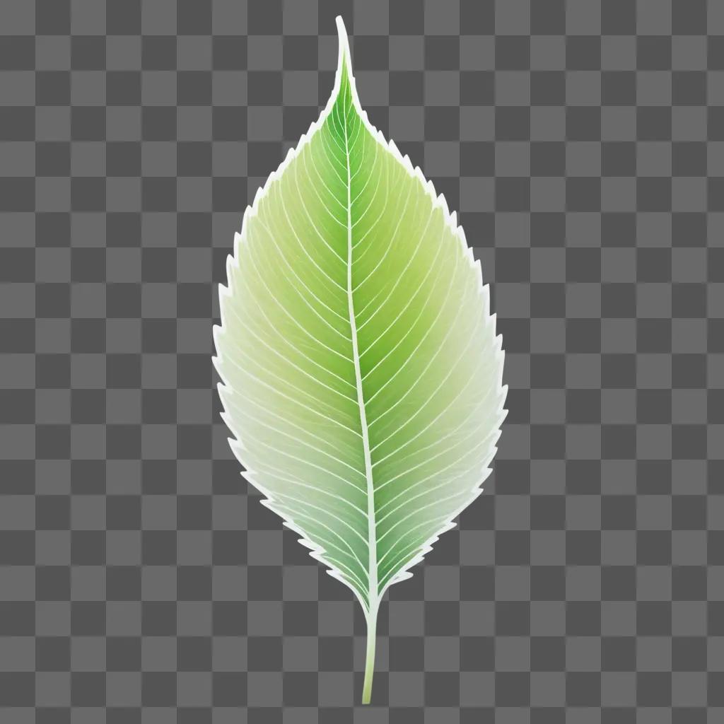 green leaf on a transparent background