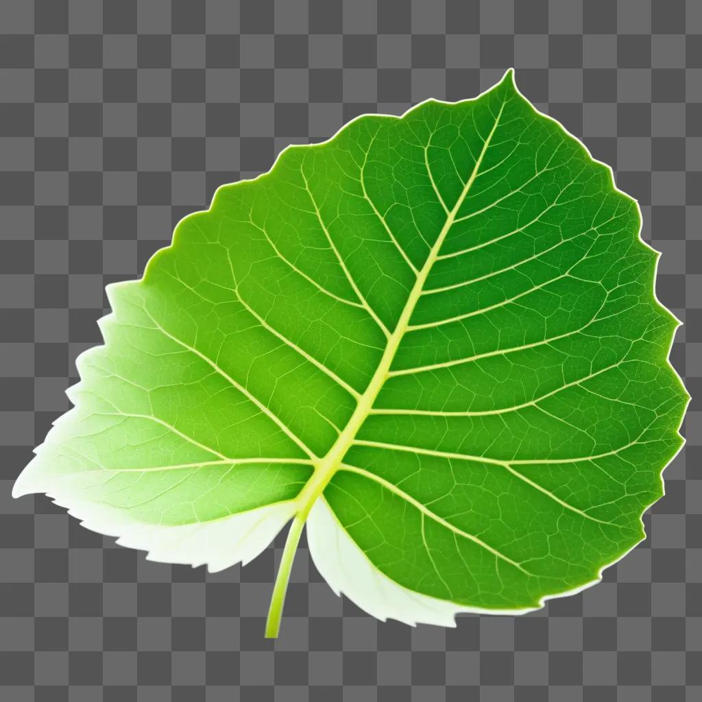 green leaf with intricate leaf texture