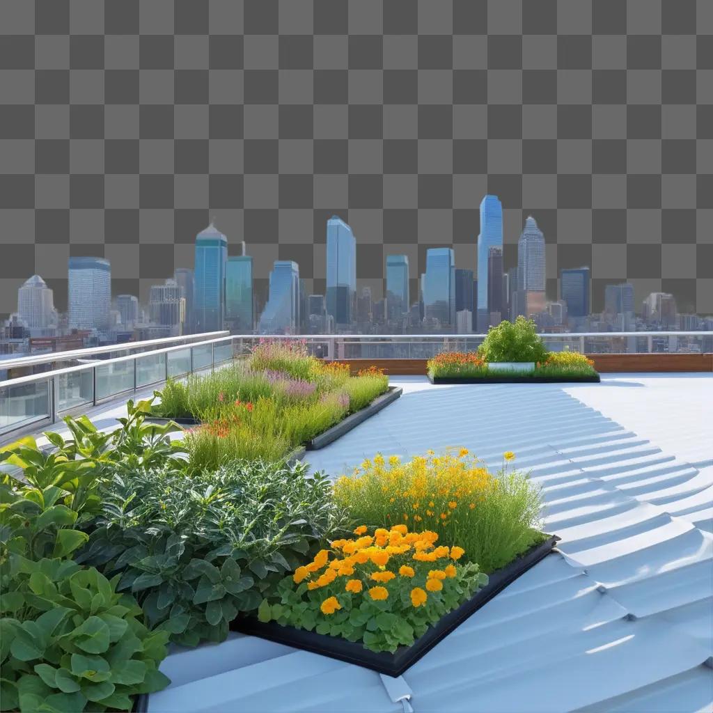 green roof with flower planters in the city