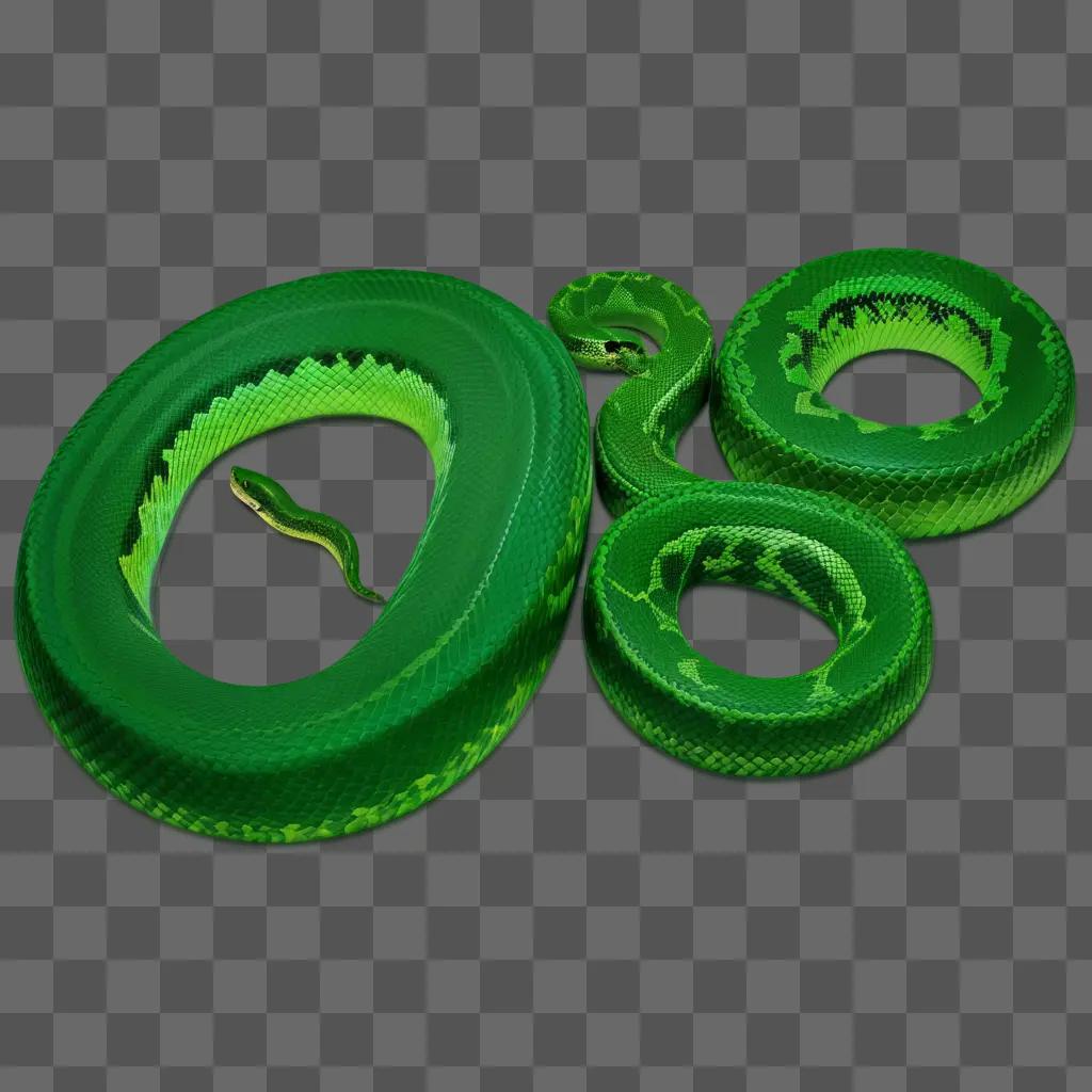 green snake is shown with a green circle