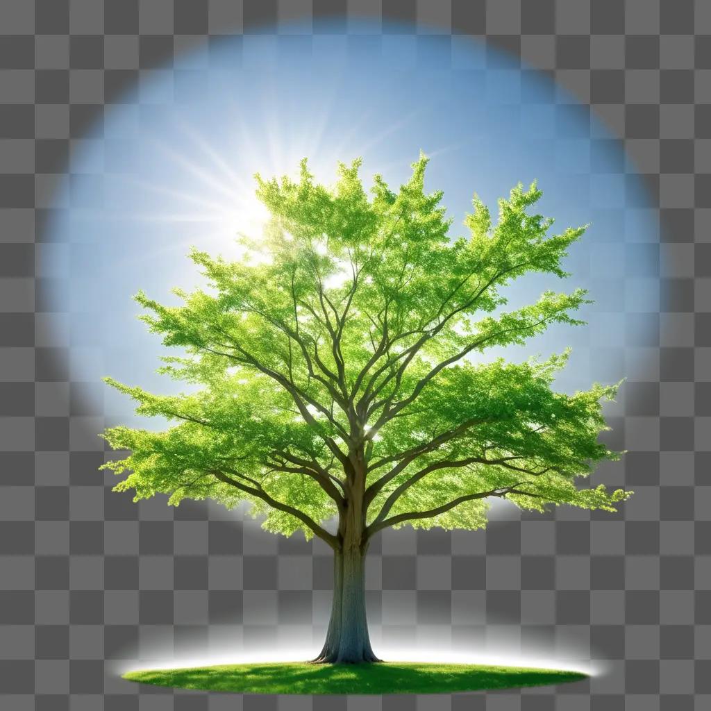 green tree under a bright blue sky