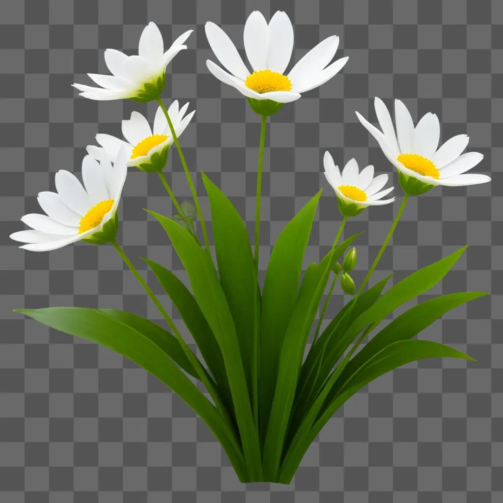 group of white flowers bloom in a garden