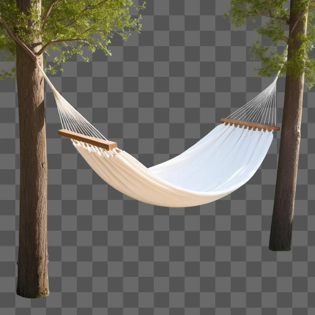 hammock hangs between two trees