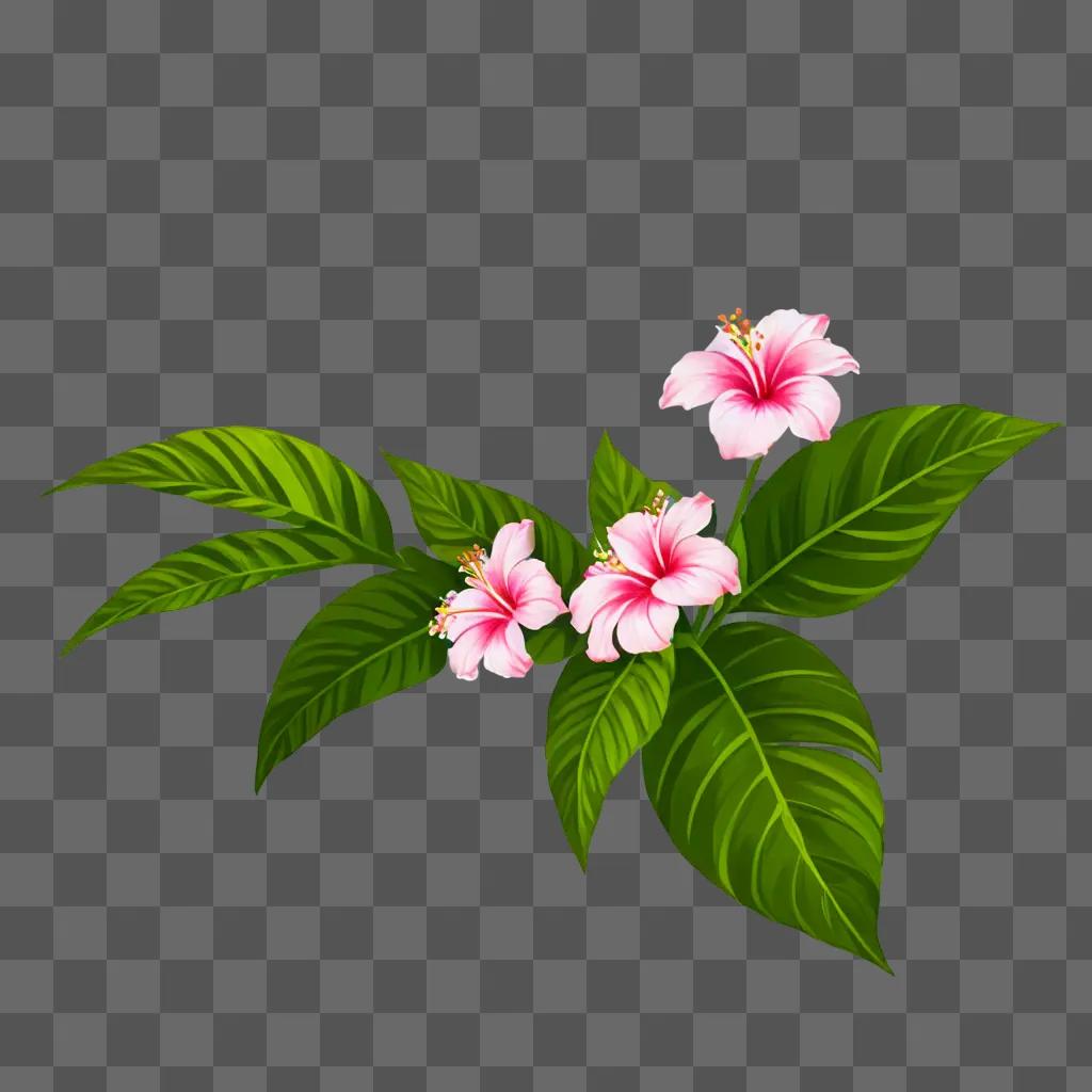 hawaii flower drawing Three pink flowers with green leaves on a green background