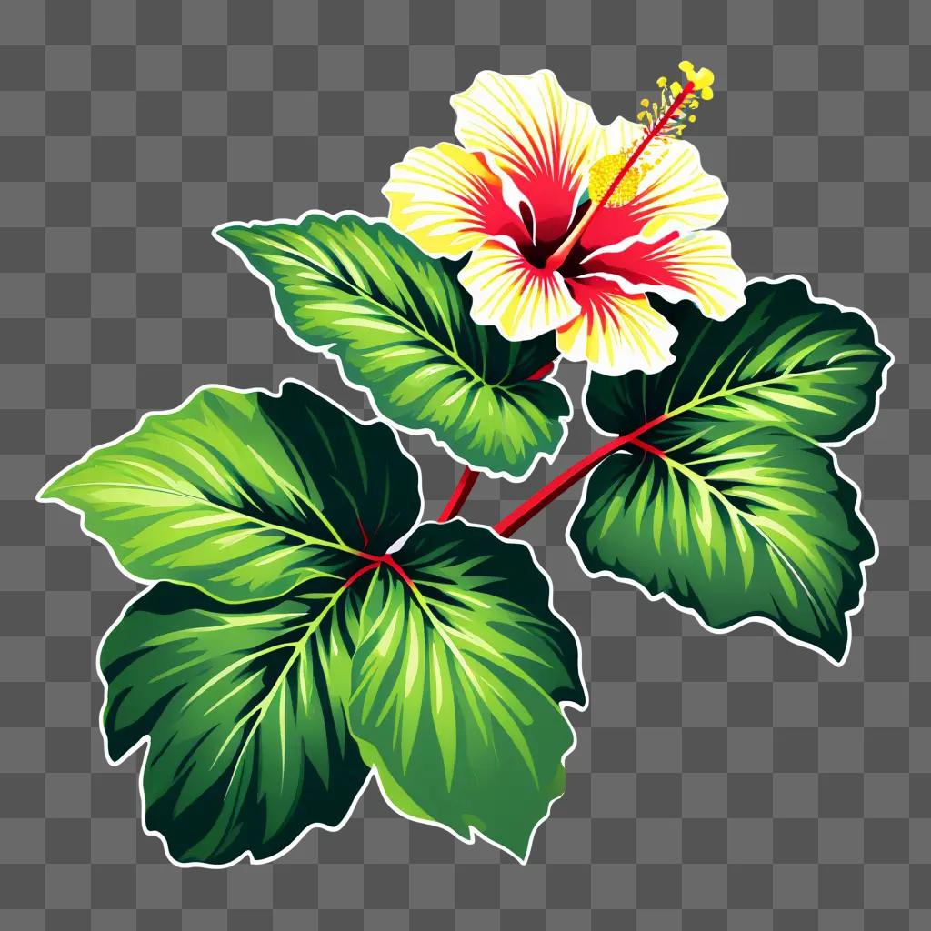 hibiscus flower and leaves against a green background