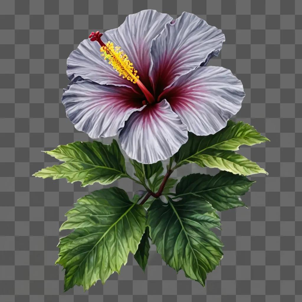 hibiscus flower drawing A beautiful flower with purple and white petals