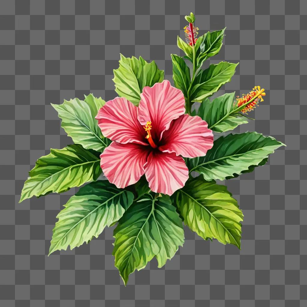 hibiscus flower drawing A pink flower with green leaves on a green background