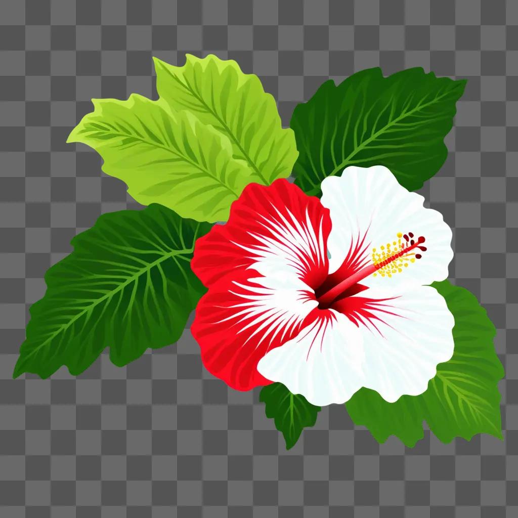 hibiscus flower with leaves and stems