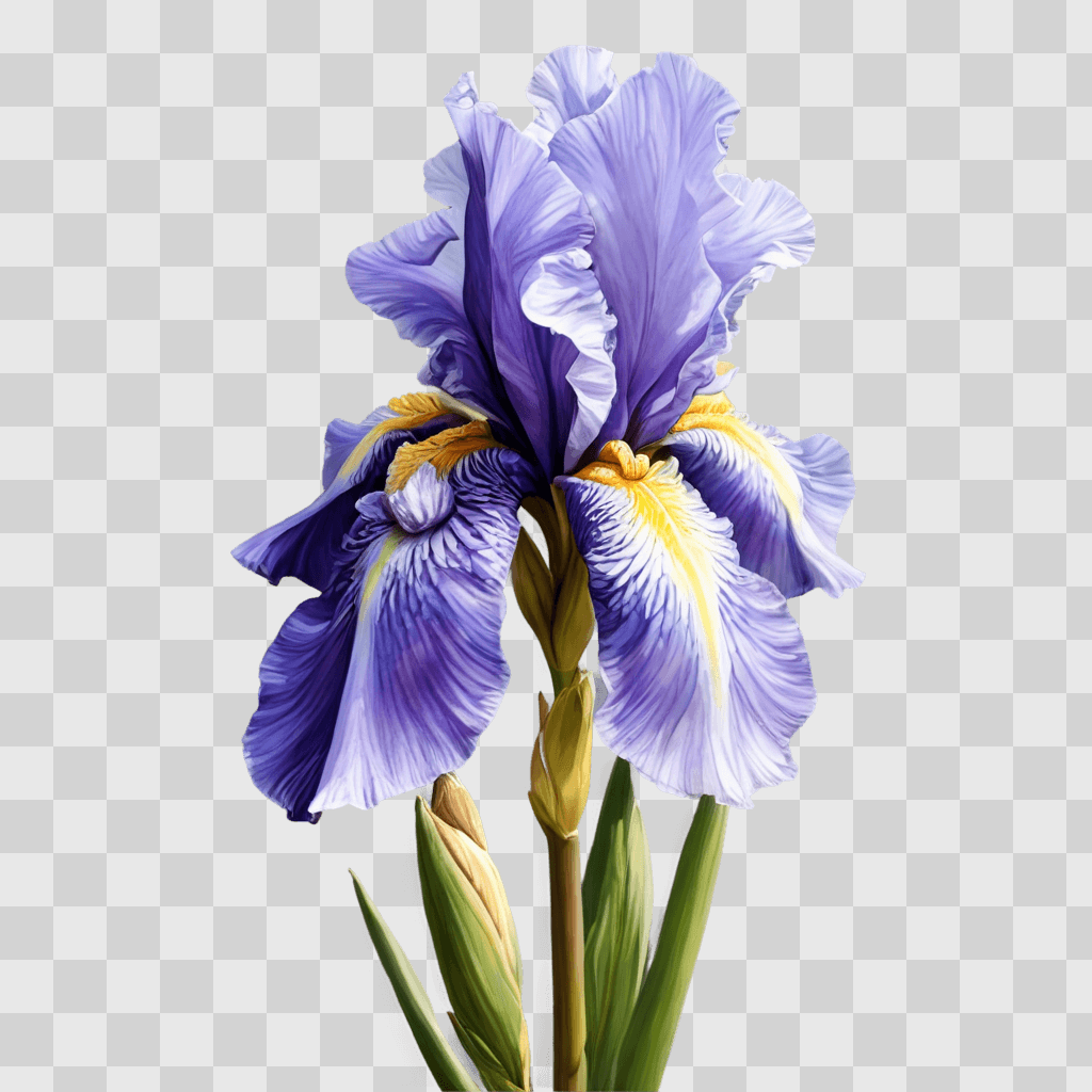 iris flower drawing A purple and yellow flower in a watercolor painting