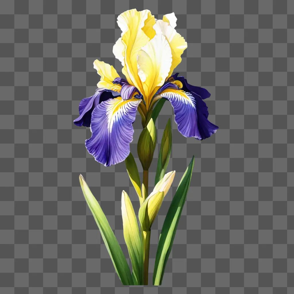 iris flower drawing A purple and yellow flower with light shining on it