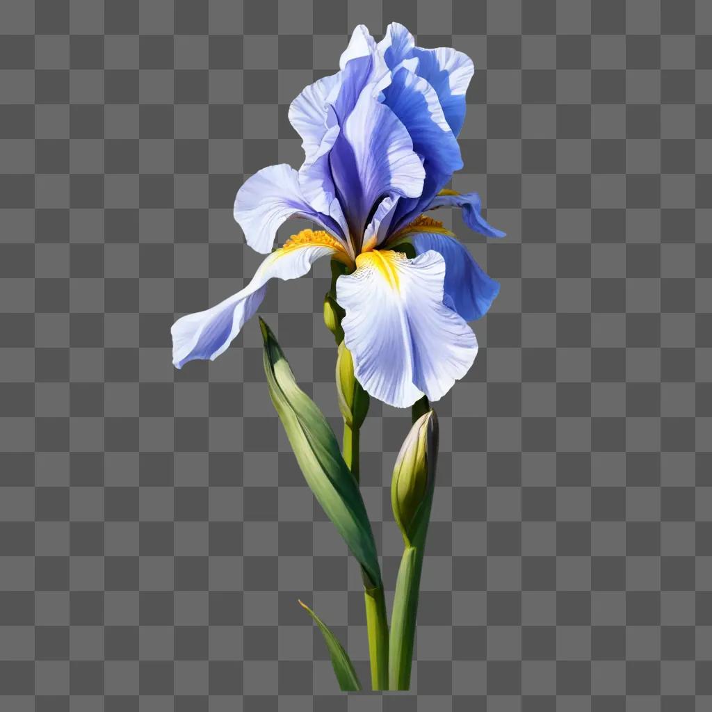 iris flower drawing A vivid blue flower in a blurry image