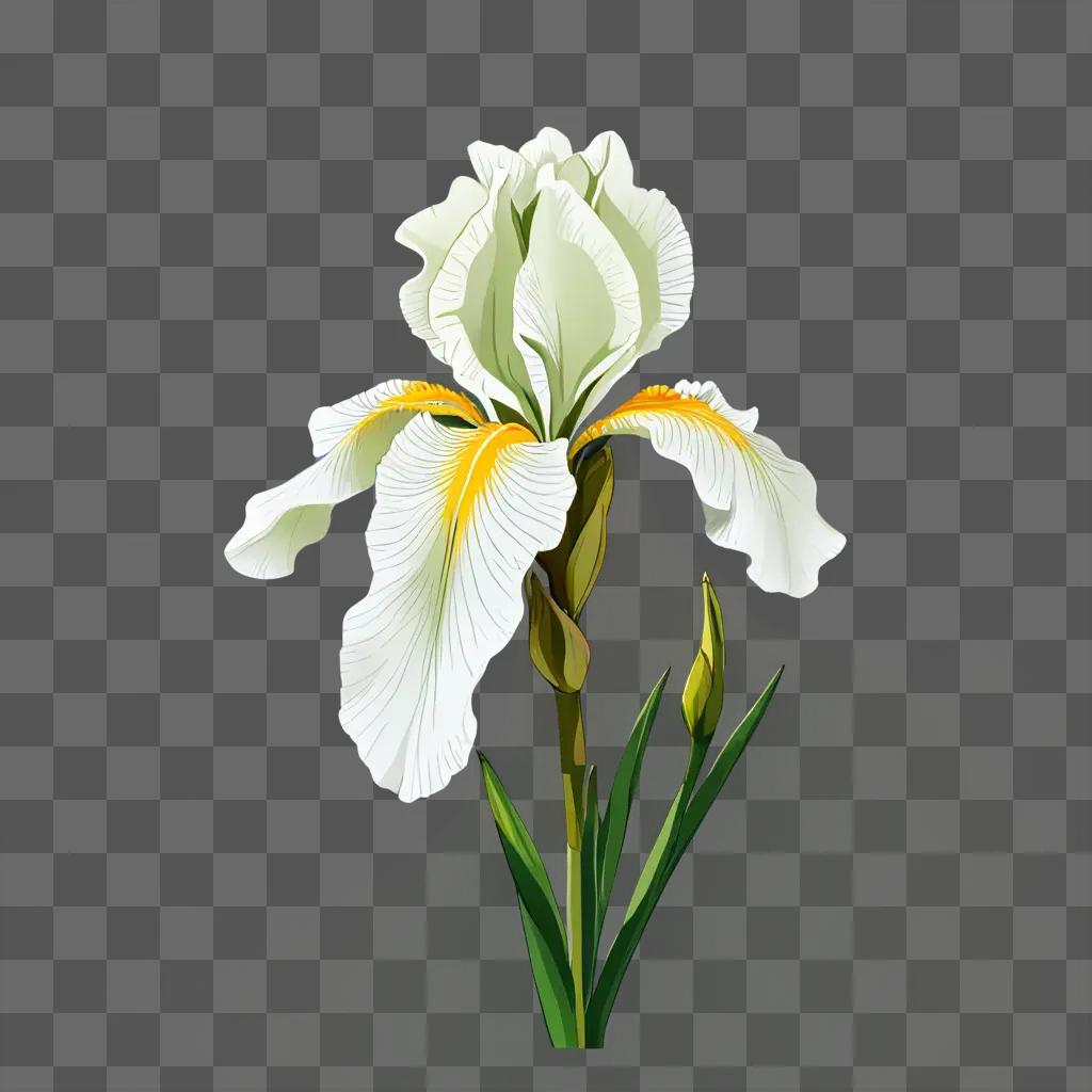 iris flower drawing A white flower with yellow stamens and green leaves