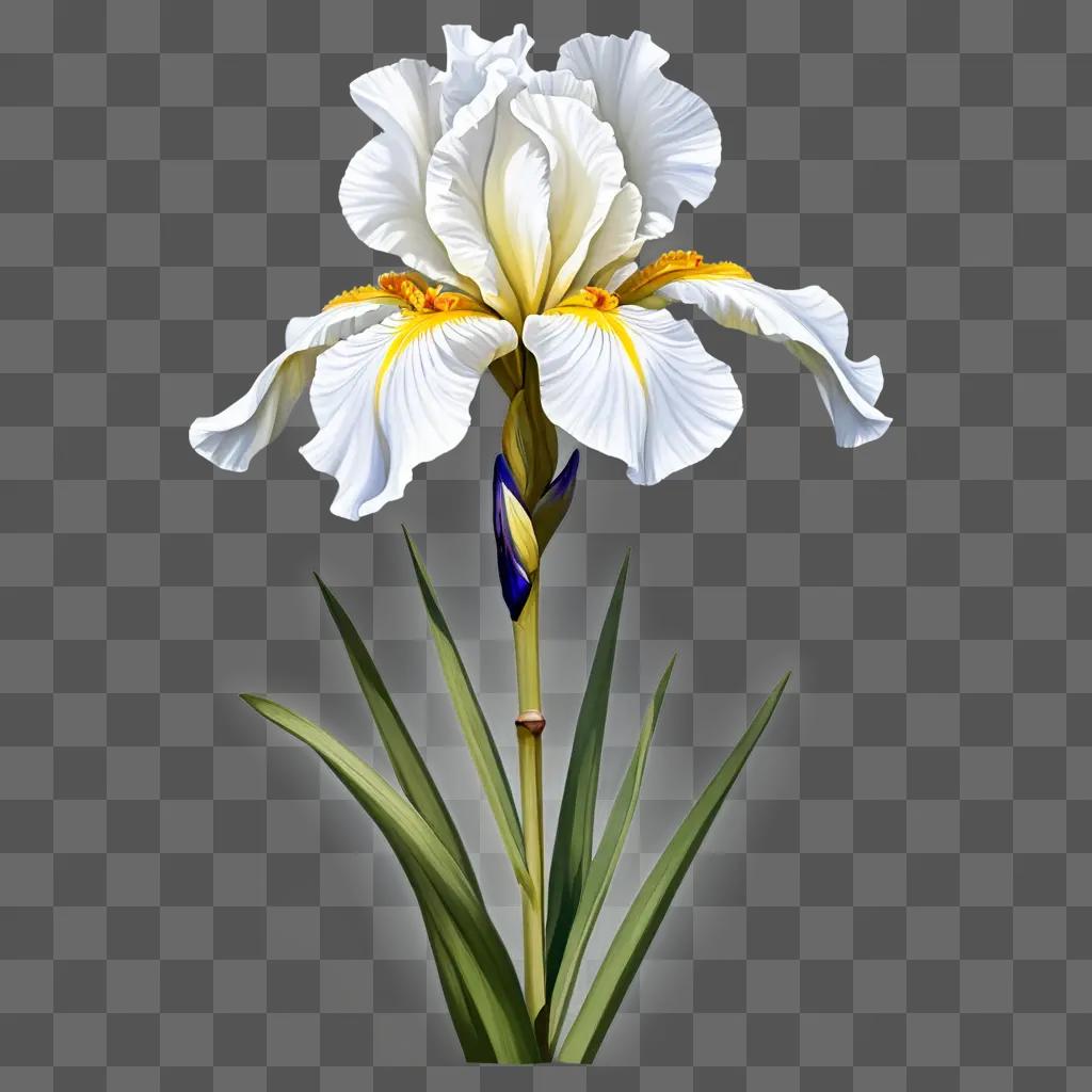 iris flower drawing A white iris with yellow stamens and green leaves