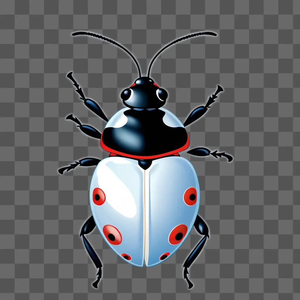 lady bug in a black and red color scheme