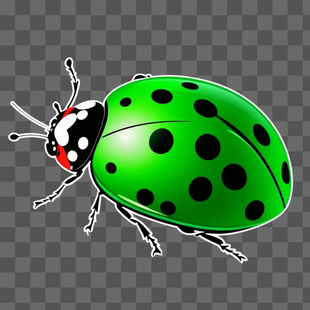 lady bug with black spots on a green background