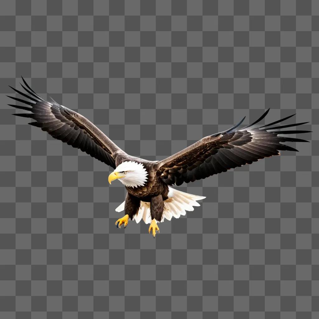 large eagle with wings spread, flying through a transparent background