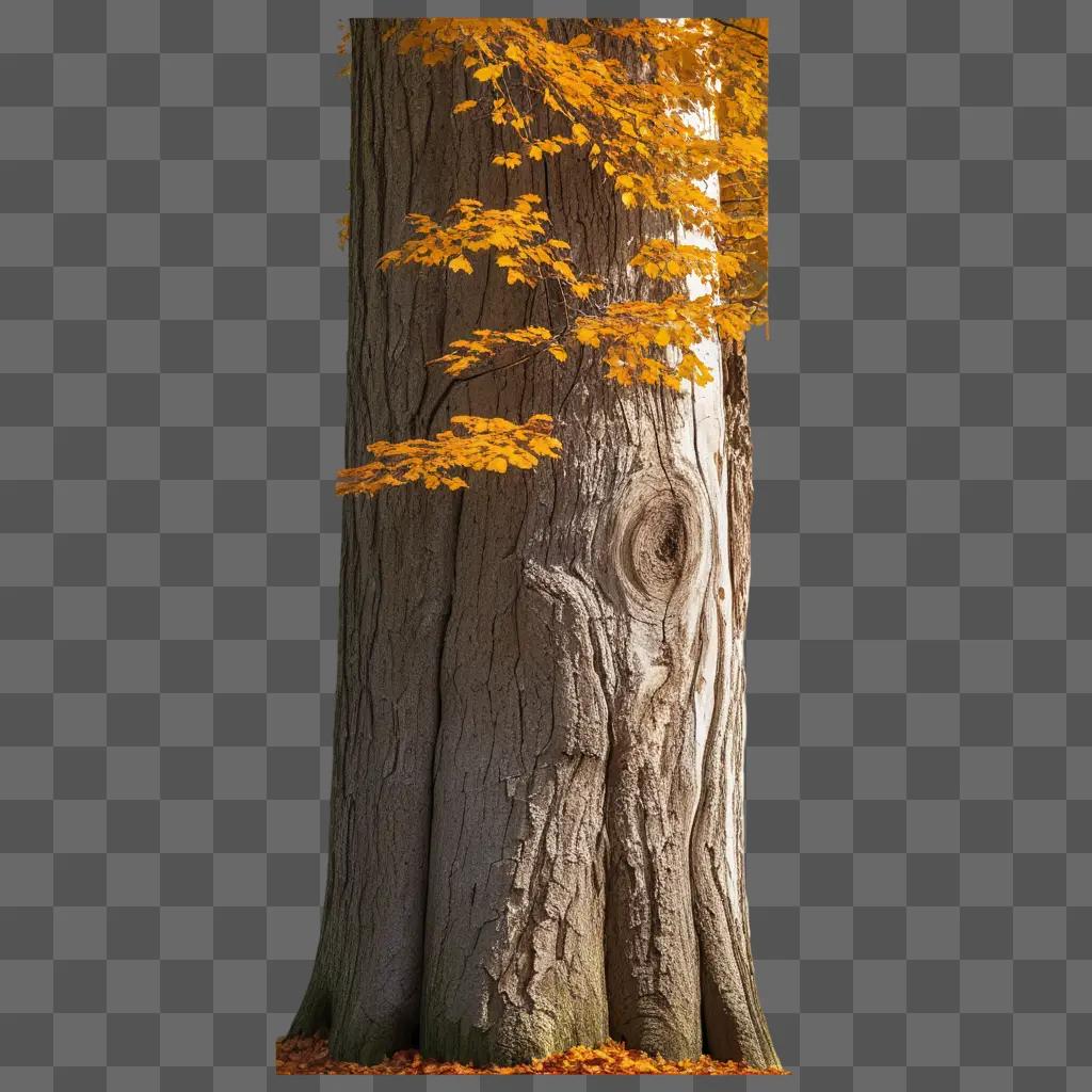 large tree trunk with yellow leaves