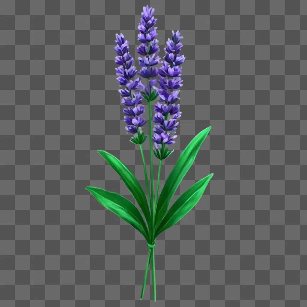 lavender flower drawing A green background with a purple flower