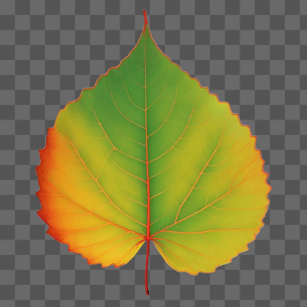 leaf drawing with a yellow and green leaf