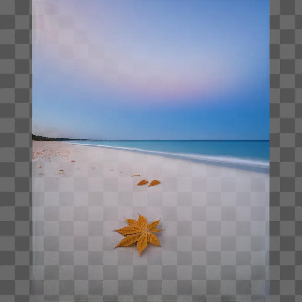 leaf on the beach with the sky in the background