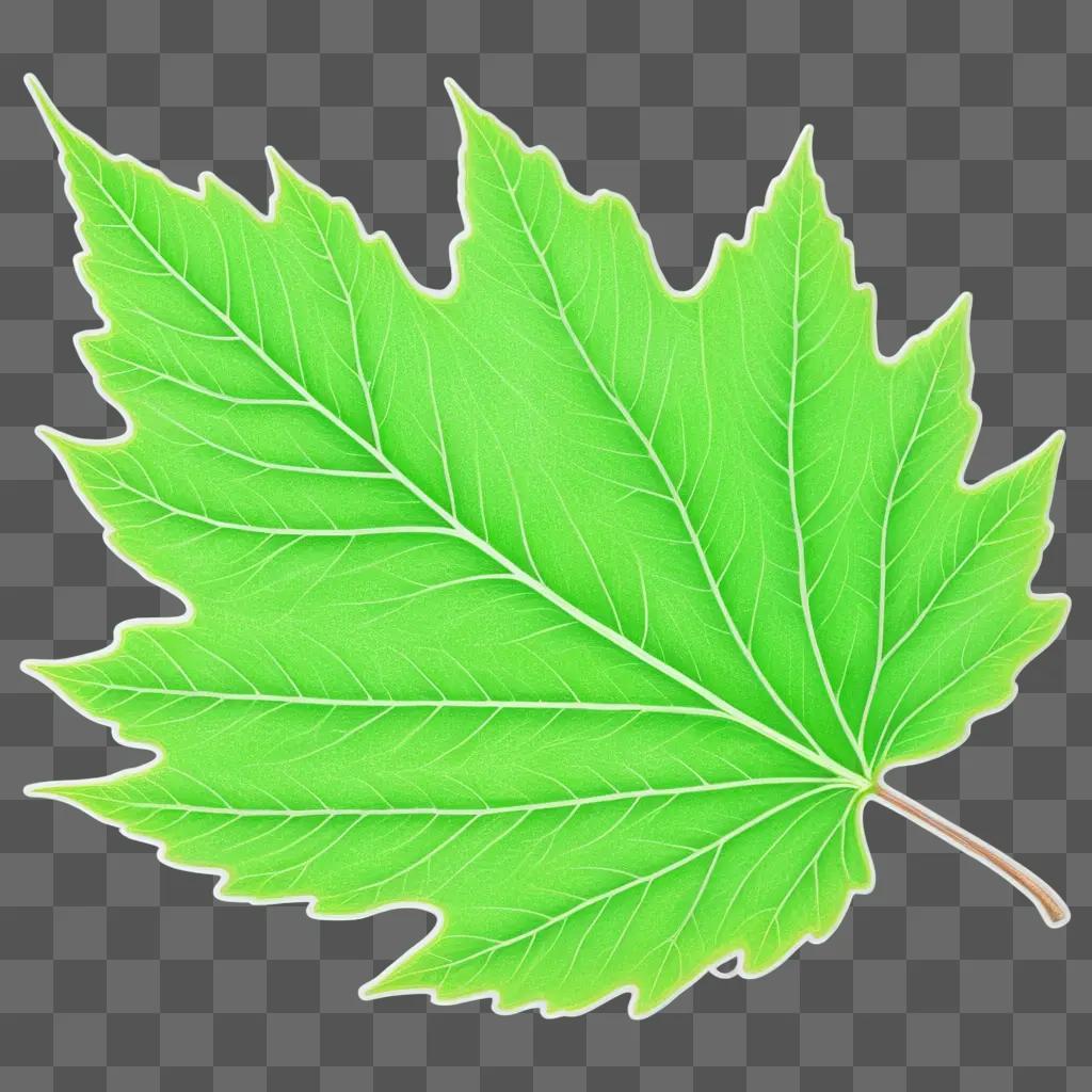 leaf sketch against a green background